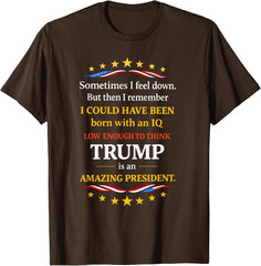 Sometimes I Feel Down But Then I Remember Funny Unisex T-Shirt