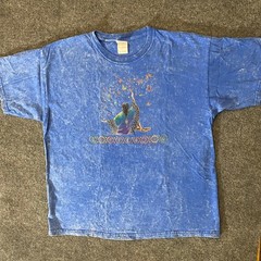 Gildan Cotton Tee Mens XL Blue Tucson AZ Butterfly Graphic Vintage Acid Wash