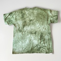 The Mountain Grateful Dead Bus Shirt, Brand New Different Colors, Men’s Sizes