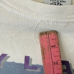 Vtg Wyland Whales Laguna Beach Shirt XL Whale Art Nature Beach Surf Grunge 90s