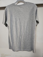 Wild Kiwi NEW Made For Adventure AOTEAROA NEW Zealand Light Gray TShirt SZ S