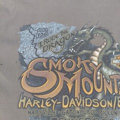 Harley Davidson I Rode The Dragon T Shirt Size Large Gray Smokey Mountain TN 07