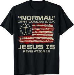 Normal Isn’t Coming Back Jesus Is Christian American Flag T-Shirt