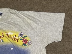 Vintage Disney Winnie The Pooh Sleep Shirt OSFA Day & Night READ STAINED Piglet