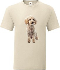 Miniature Poodle White Dog Pet Family Novelty T Shirt Various Colours And Sizes
