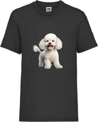 Bichon Friese Dog White Pet Family Novelty T Shirt Various Colours And Sizes