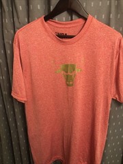 NBA Chicago Bulls Red Heather Tee Ft/ Gold Tone Graphic Iconic Logo. Sz Large