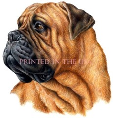Bullmastiff Mastiff Dog Breed Color Art Portrait Custom T Shirt S-3X