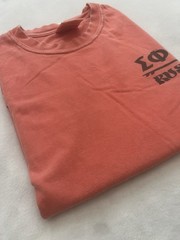 Comfort Colors Men’s T Shirt Sprig Rush Sigma Phi Epsilon 2022 Size M