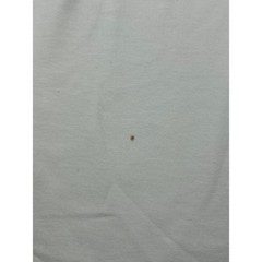 Champion USA Mens Graphic T Shirt Large White Short Sleeve Logo Athletic Tee