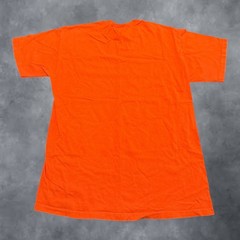 Fruit of the Loom Reno Nevada The Biggest Little City Orange Graphic T-Shirt L