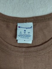 CHAMPION T-Shirt Men’s Size Medium Cactus Rainbow Graphic Brown Embroidered Logo