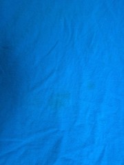 Unisex Lg Y2k Dolphin T Shirt Blue with Gems Short Sleeve Myrtle Beach SC