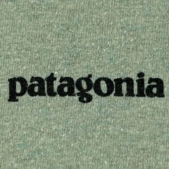 Patagonia Shirt Men Small Bison Responsibili Tee Graphic Work Party Gym Core Ex
