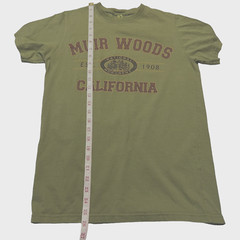 econscious Muir Woods California T-shirt Men’s Small Green Nature Outdoor Trees