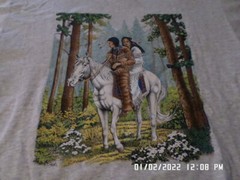 NEW T-Shirt: 2 Indians On Horseback White Horse : Lots of sizes & colors S-6XL