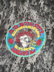 Vintage 1995 Grateful Dead Bertha T Shirt Brockum AOP Acid Wash Skull Roses