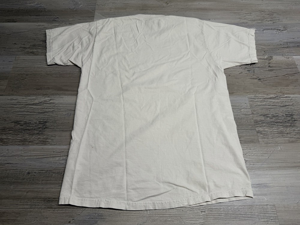 Vintage 1998 Ann Arbor Art Fair T-Shirt 90s Graphic Tee Fruit of the Loom M