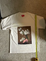 PacSun x The Met Graphic Roses and Lilies Painting Cream T Shirt Size Small