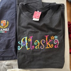 Lot Of 8 T-Shirts Vacation Destination Caribbean Embroidered Comfy SZ Large Bulk