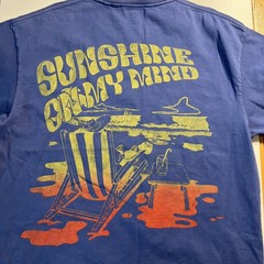 Valabasas Men’s Designer T Shirt Fun In The Sun Oversized Medium Blue. Thick
