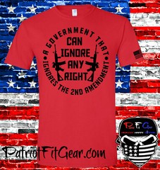 t shirt,A Government That Ignores,Second Amendment,2A,Gun Rights,Molon Labe