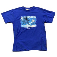 Carnival Cruise Lines Blue T Shirt Mens M Crewneck Isla Roatan Retro 90s Vintage