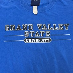 Vintage Grand Valley State University Shirt Men’s L Blue GVSU Lakers MV Sport