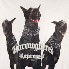 Dobermans T Shirt Mens Size XL White Thoroughbred Represent Dog Lover