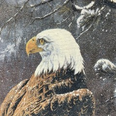 Nature Shirt Mens Large Bald Eagle Winter Scene Washed Blue The Mountain