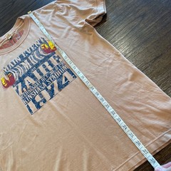 VTG 2005 AG Mens M/L Reversible Graphic Print Tee Crewneck Zaire African Lions