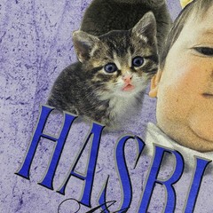 Full Send Hasbulla Kittens Tie Dye Shirt Adult Large Purple Cats Kitty Nelk Boys