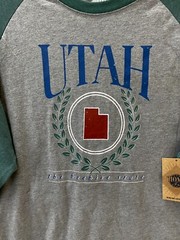 Utah T-Shirt Men’s Medium The Beehive State Home Free Raglan Sleeve Gray Green