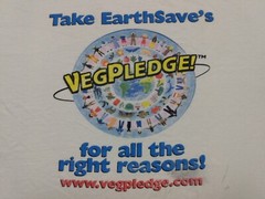90s Vegetarian vtg T Shirt XL Beneficial T’s distress Vegpledge Vegan Promo tee