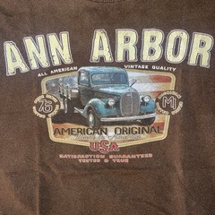 Men’s Gildan Heavy Cotton Ann Arbor Graphic Vintage Print Brown T-Shirt Size S
