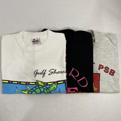 Wholesale Lot of 30 Vintage Short Sleeve Tee Shirts (Sizes In Description)