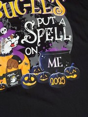 Buc-ee’s Halloween 2025~Put A Spell on Me~T-Shirt~Size 2XL~Glow in Dark~