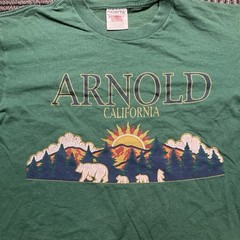 Oneita Power-T Green California Bear Graphic Cotton Men’s Crew Neck T-Shirt M