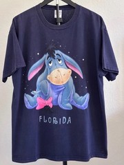 Classic Disney Eeyore Florida Delta Pro Weight T-Shirt Navy Size Large