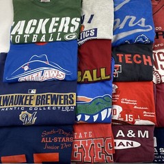 Wholesale Lot of 20 Men’s Sports Tee Shirts (Size Breakdown in Desc)
