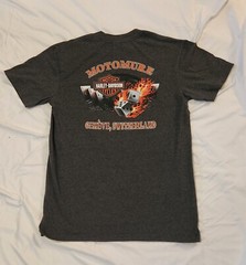 Harley Davidson Geneve Switzerland Flame Dice Short Sleeve T-shirt D. Gray – M