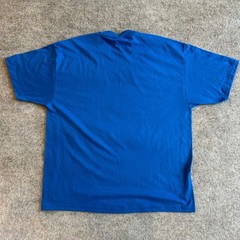 Vintage 1979 Hanes Heavyweight 50/50 Leo The Lion T-Shirt Adult XL