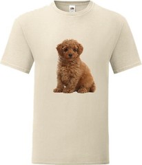 Toy Poodle Brown Dog Pet Family Novelty T Shirt Various Colours And Sizes