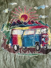 The Mountain Grateful Dead Bus Shirt, Brand New Different Colors, Men’s Sizes