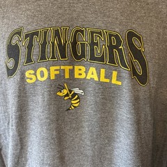 District Made Gray Stingers Softball Graphic Hornet Bumble Bee T-Shirt Mens M