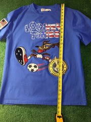 Team USA x Looney Tunes Freeze Max Soccer Loose Fit T-Shirt – Royal Blue Size XL