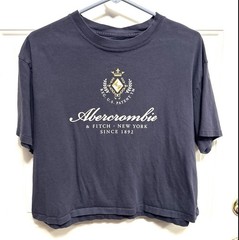 Women’s Abercrombie & FItch Cropped Crest Logo Tee Boxy Y2K Inspired Preppy M