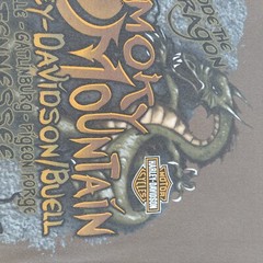 Harley Davidson I Rode The Dragon T Shirt Size Large Gray Smokey Mountain TN 07