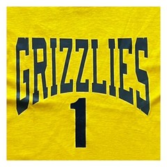 Vintage Ebert Sportswear Grizzlies Parks Rec Tshirt 80s Single Stitch Tee – S