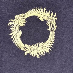 Elder Scrolls Online Flames of Ambition Bethesda Loot Crate T Shirt Men